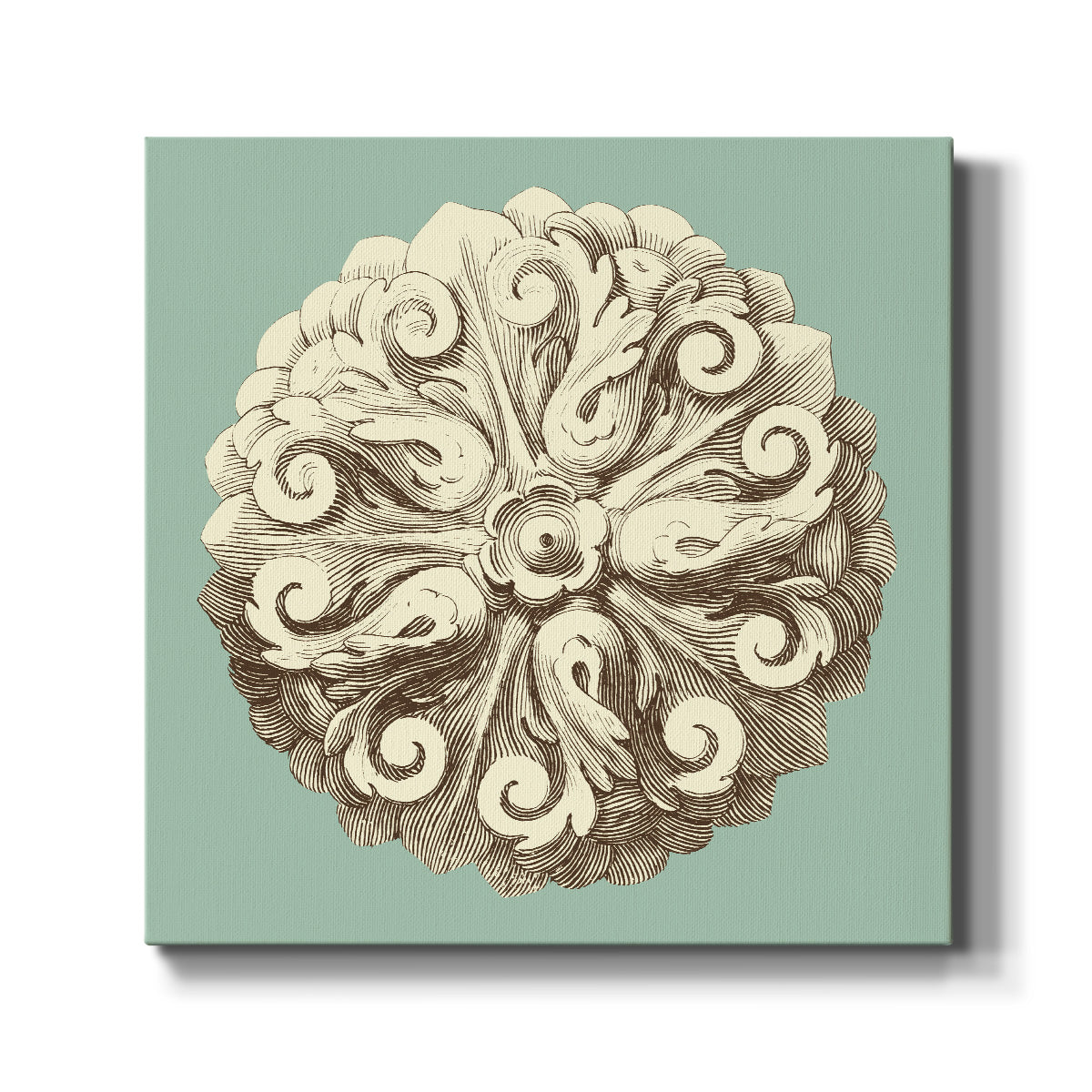 CKd Celadon&Mocha Rosette II (NC) - Canvas Art Print