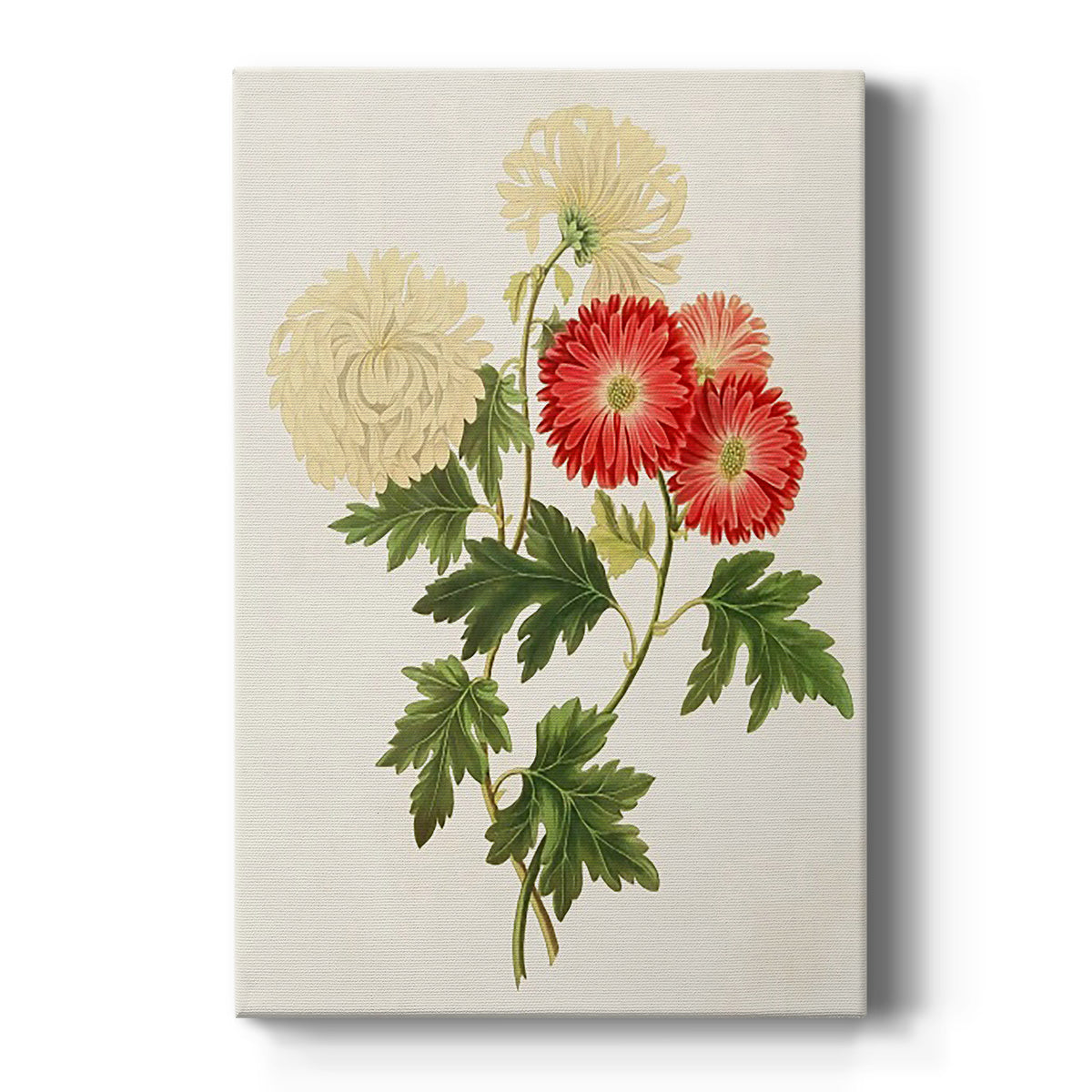 Flowers of the Seasons I - Canvas Art Print