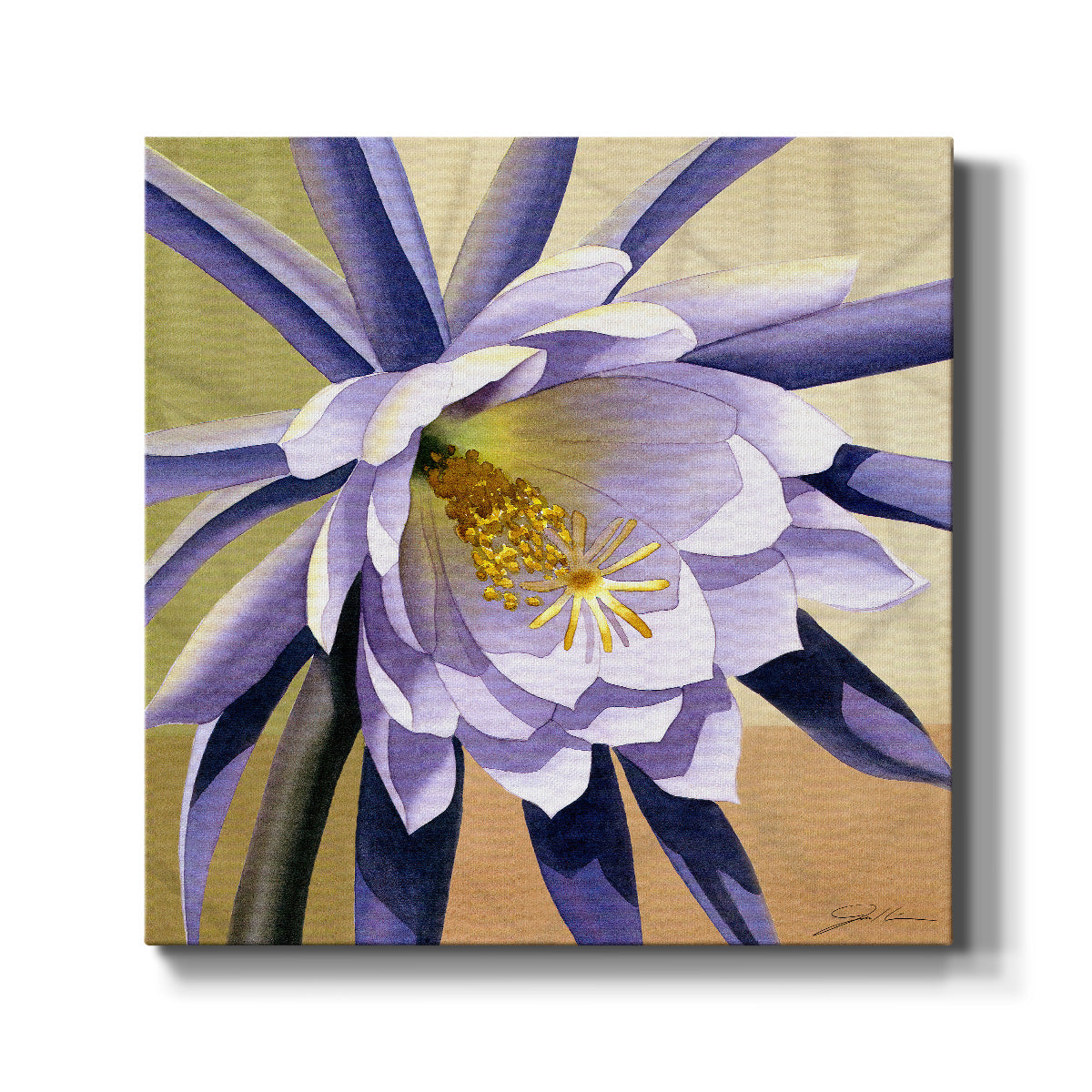 Desert Bloom II-Premium Gallery Wrapped Canvas - Ready to Hang