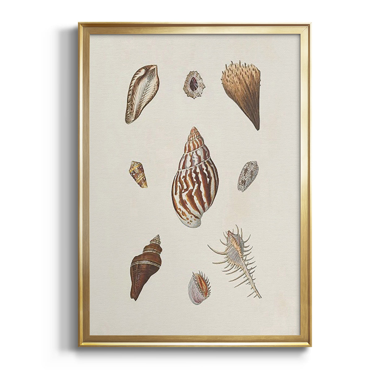 Sepia Botanical Journal I - Modern Framed Canvas Print