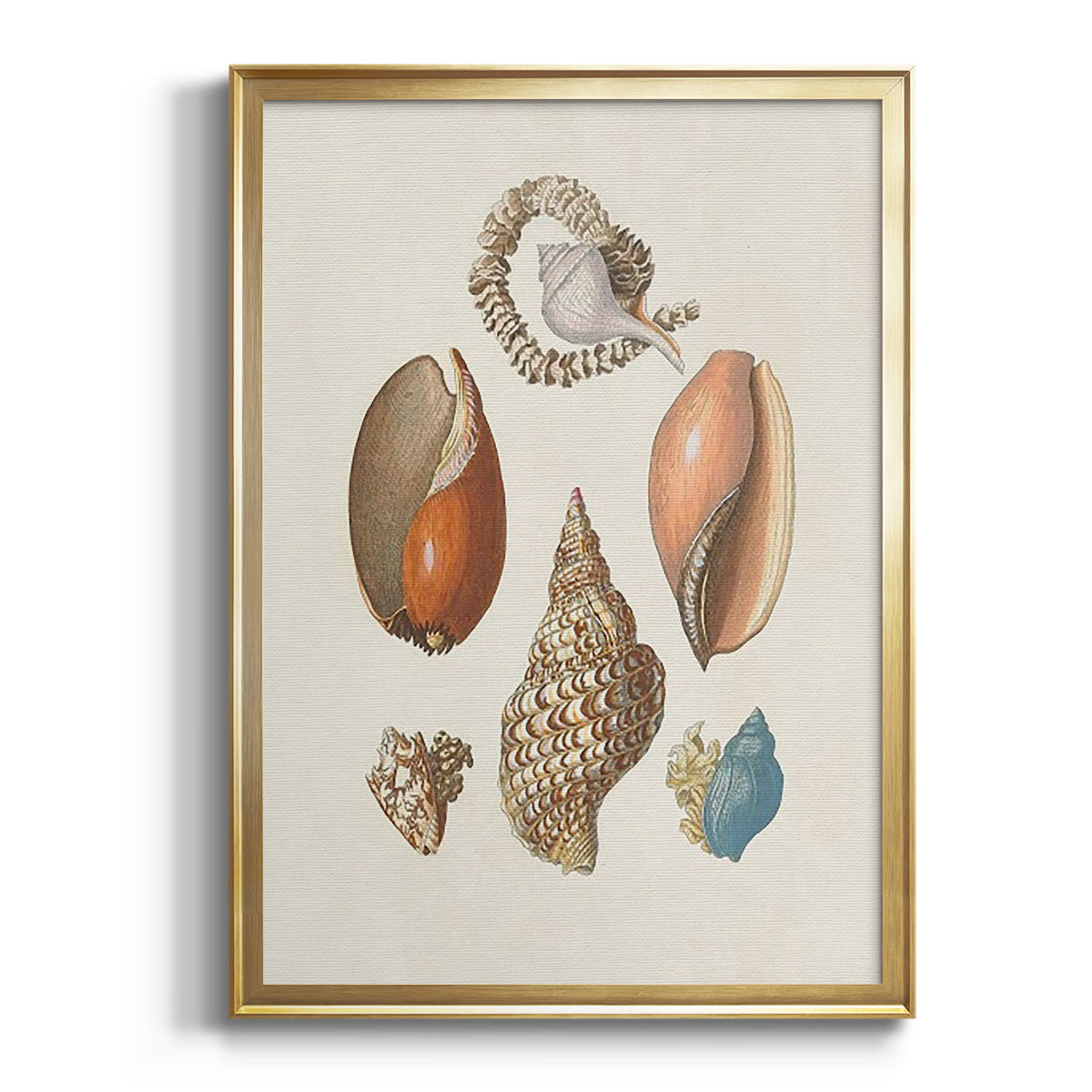 Sepia Botanical Journal I - Modern Framed Canvas Print