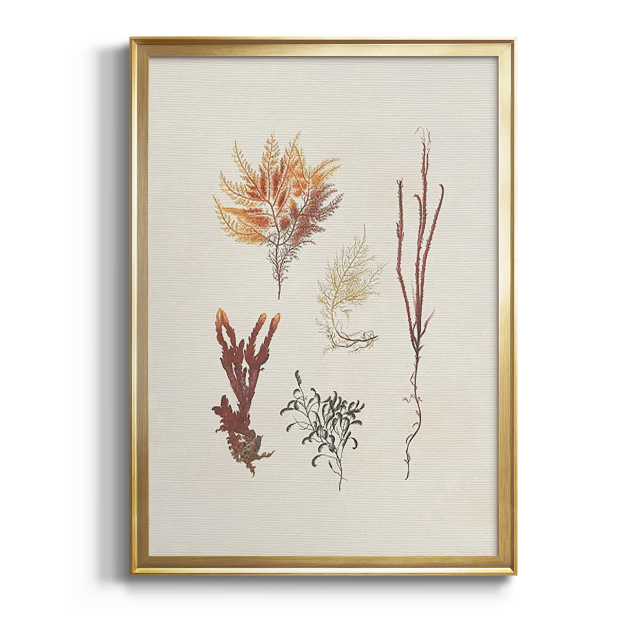 Sepia Botanical Journal I - Modern Framed Canvas Print