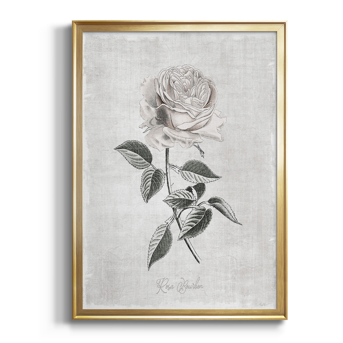 Sepia Botanical Journal I - Modern Framed Canvas Print