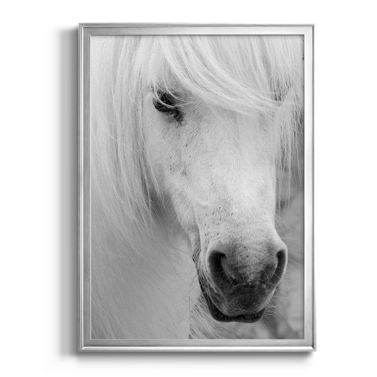 Island Pony I Premium Framed Print - Ready to Hang