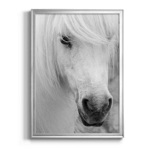 Island Pony I Premium Framed Print - Ready to Hang