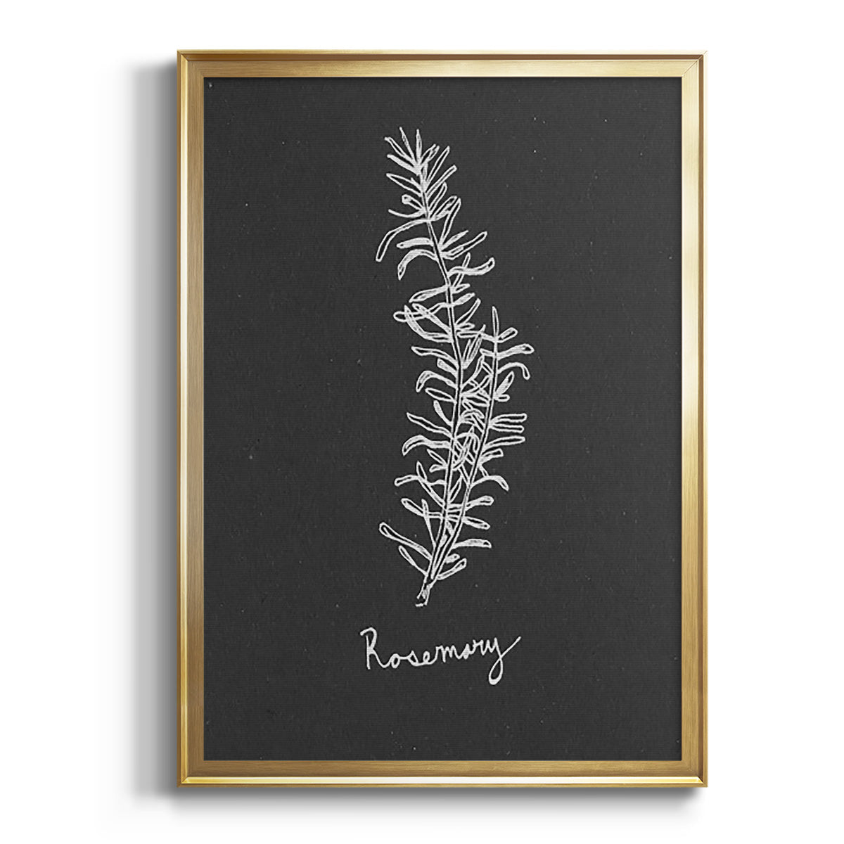Sepia Botanical Journal I - Modern Framed Canvas Print
