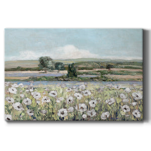 Vintage Poppy Valley Premium Gallery Wrapped Canvas - Ready to Hang