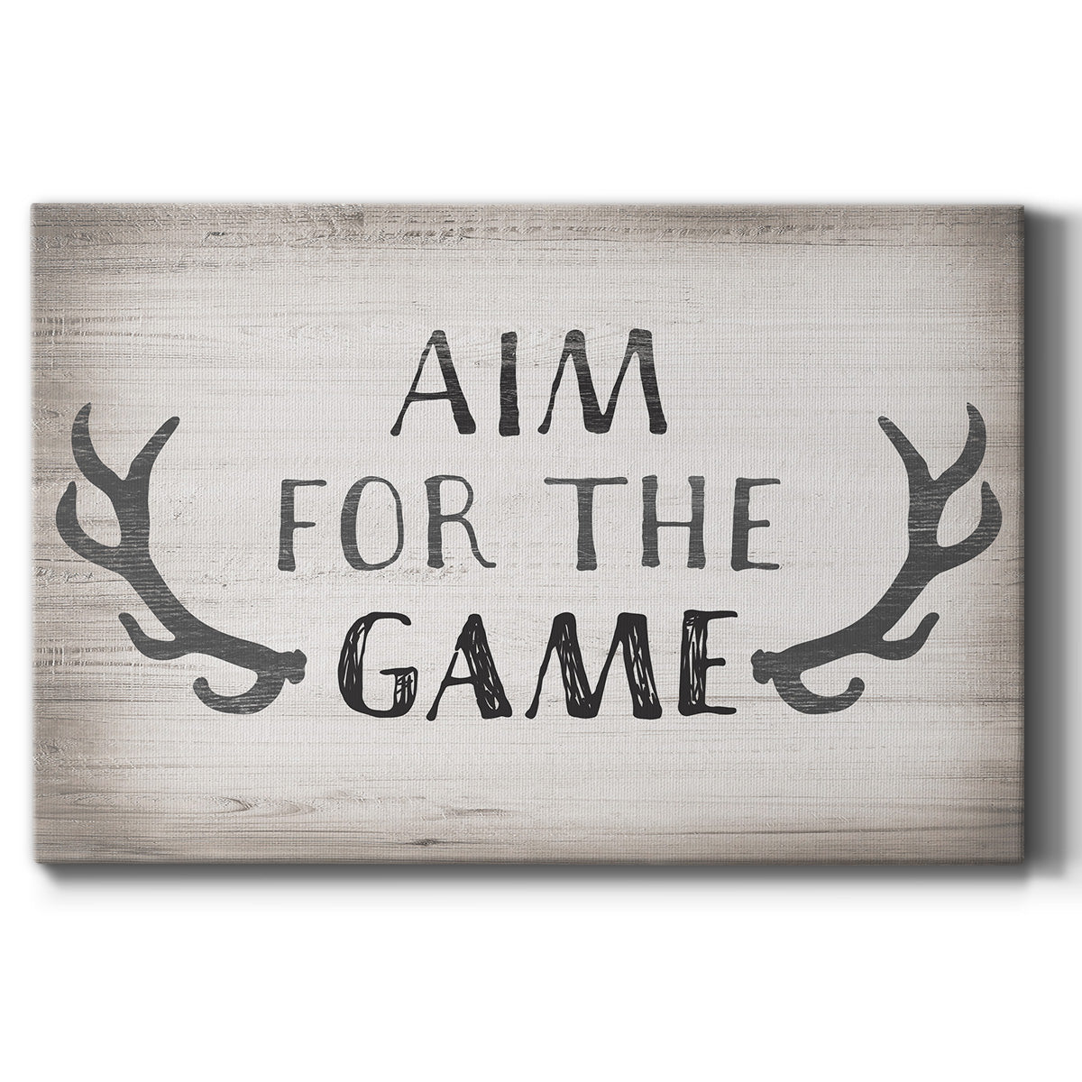 Aim Game - Canvas Art Print