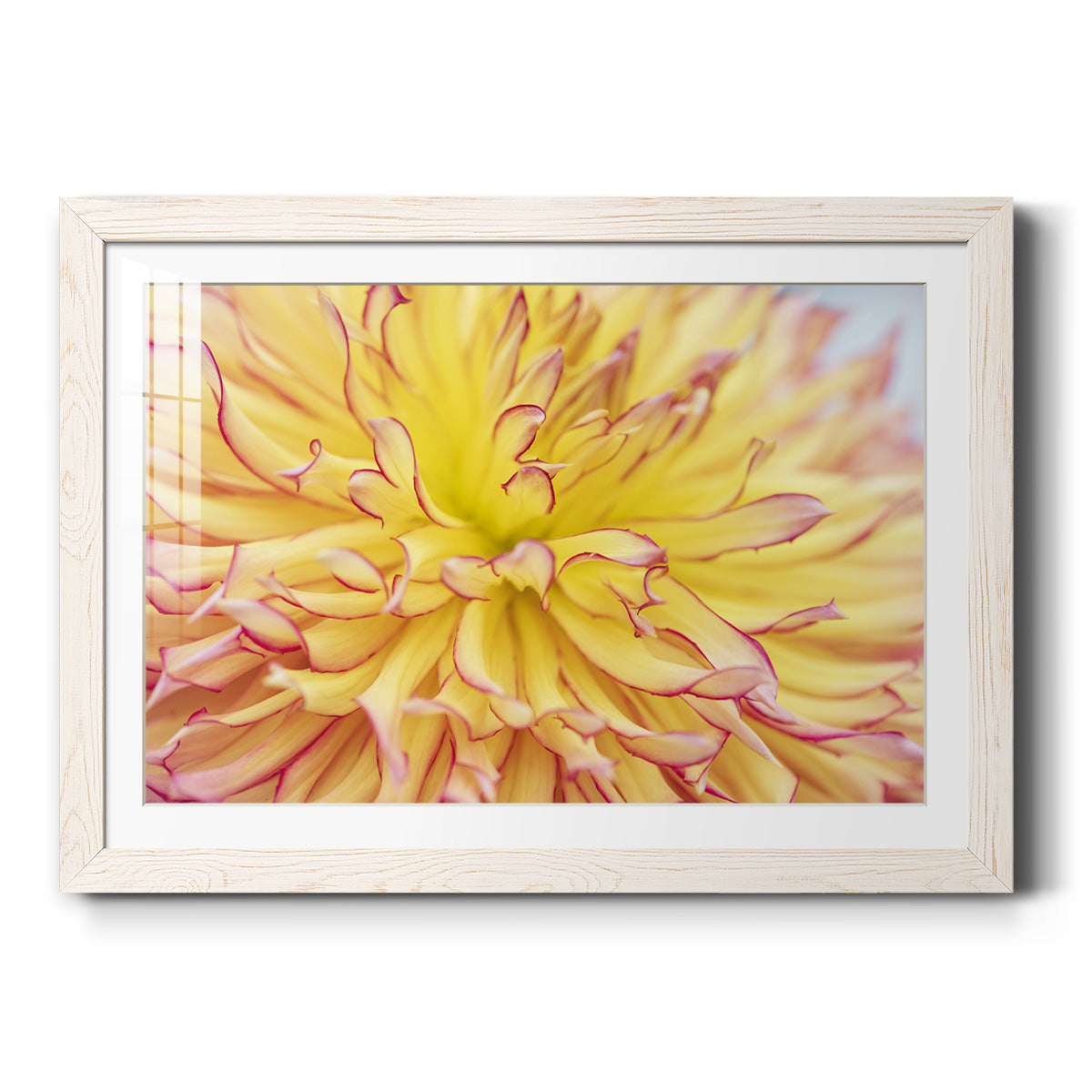 Celebrate-Premium Framed Print - Ready to Hang