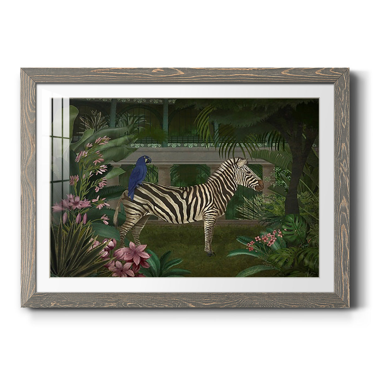 Zebra In Conservatory-Premium Framed Print - Ready to Hang