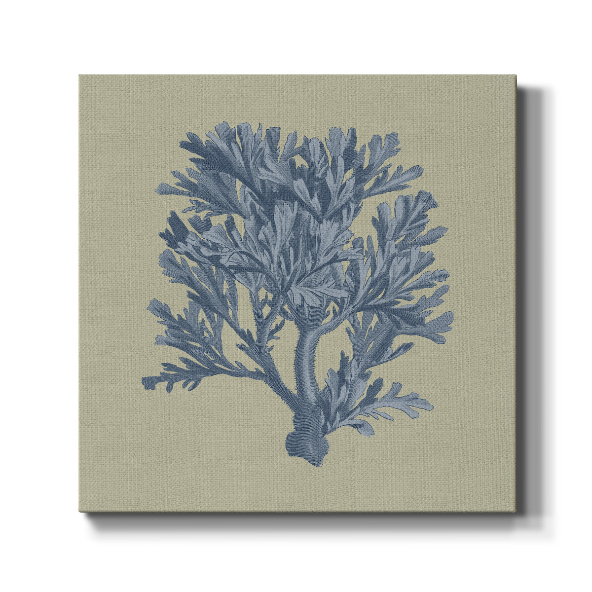 Chambray Coral IV - Canvas Art Print