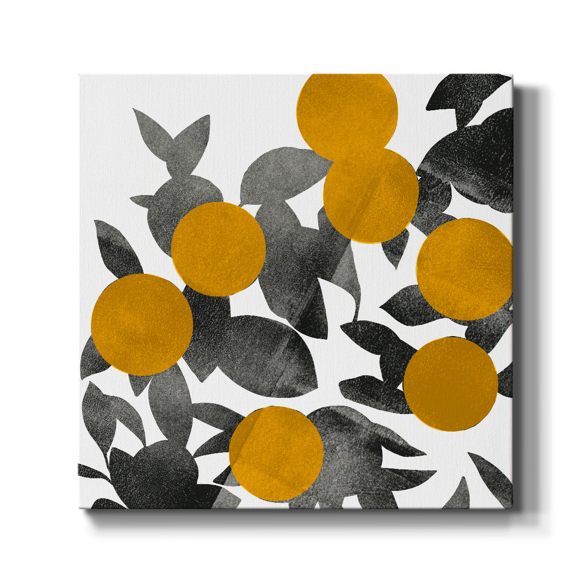 Shadow Branch II - Canvas Art Print