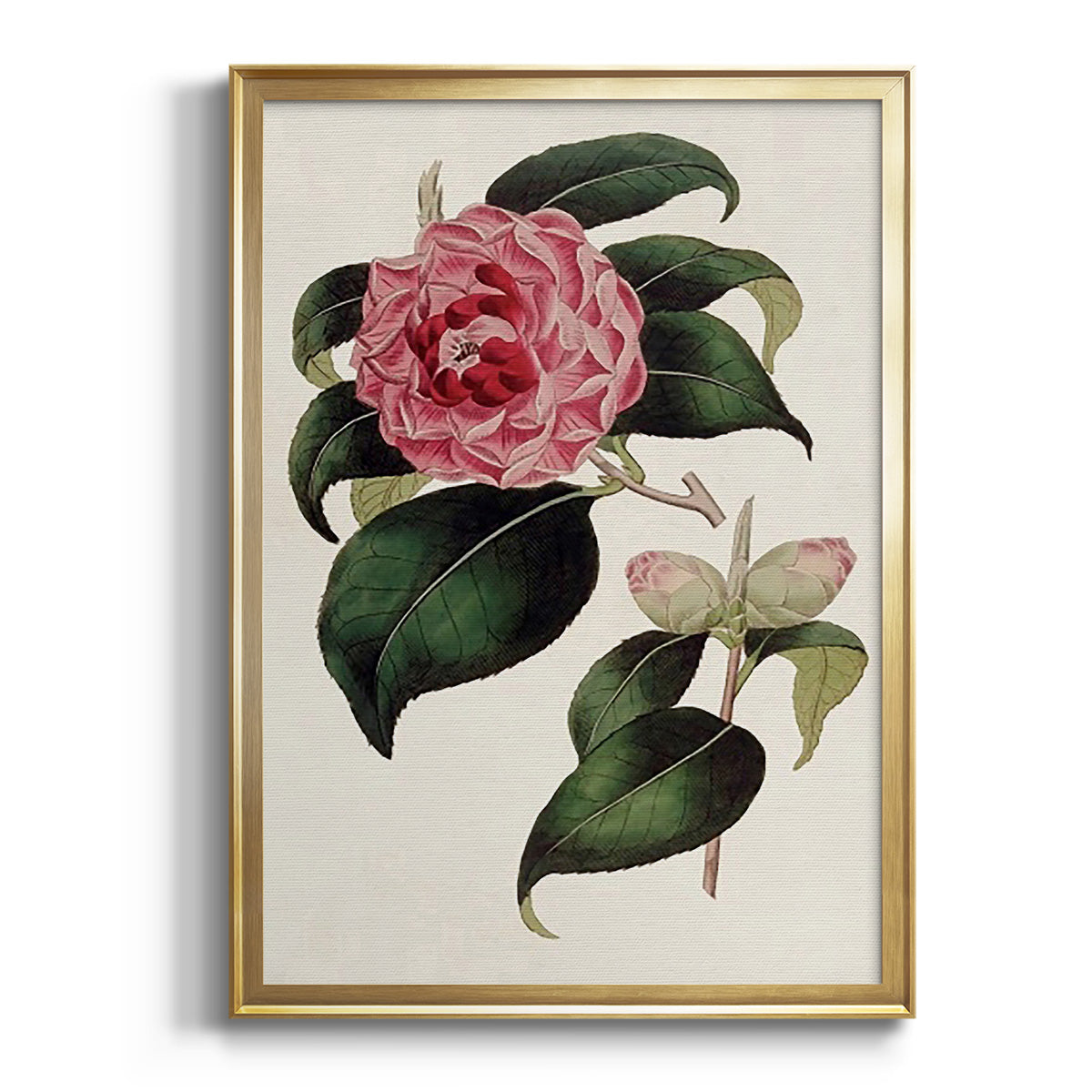 Sepia Botanical Journal I - Modern Framed Canvas Print