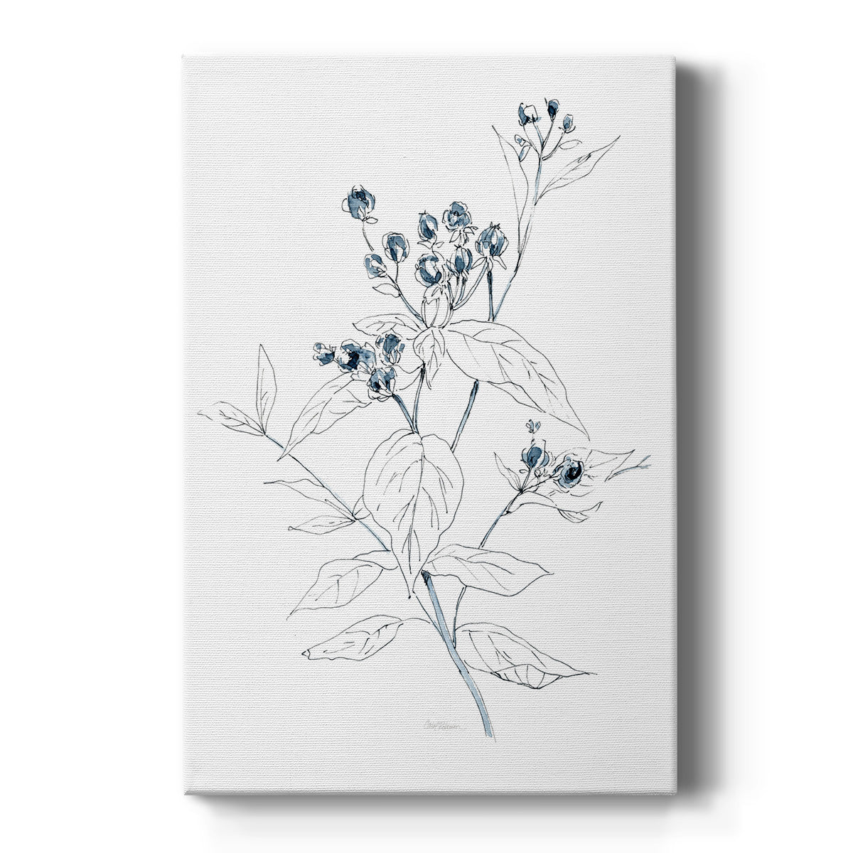 Indigo Sketch I - Canvas Art Print
