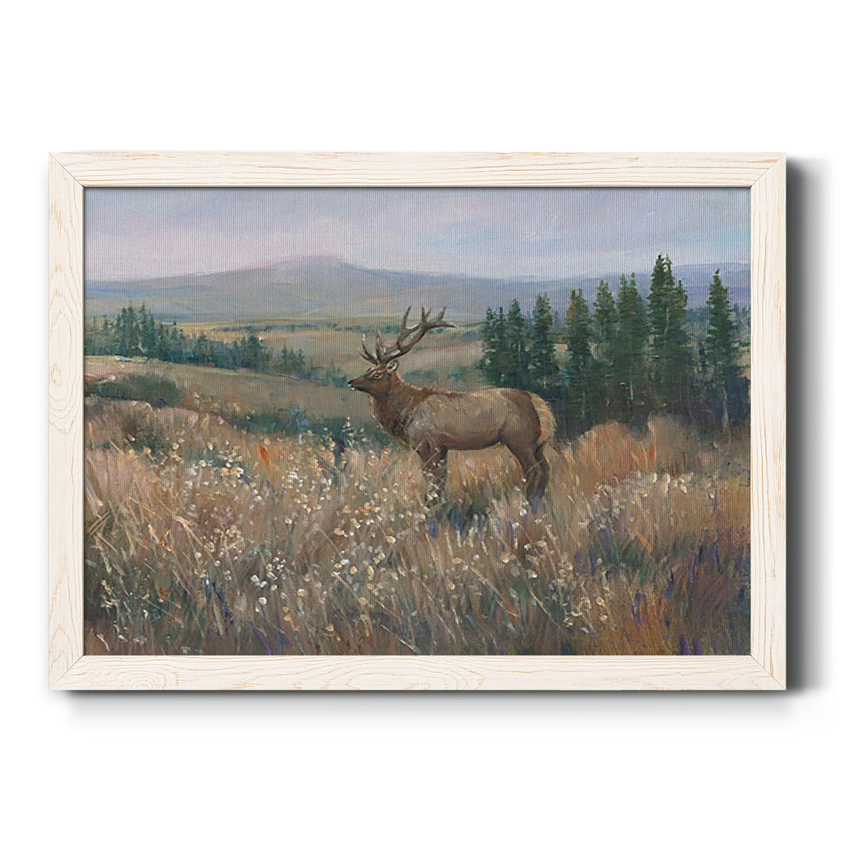 Western Wildlife II-Premium Framed Canvas - Ready to Hang