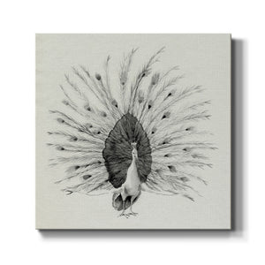 Ebony Plumed Peacock I-Premium Gallery Wrapped Canvas - Ready to Hang