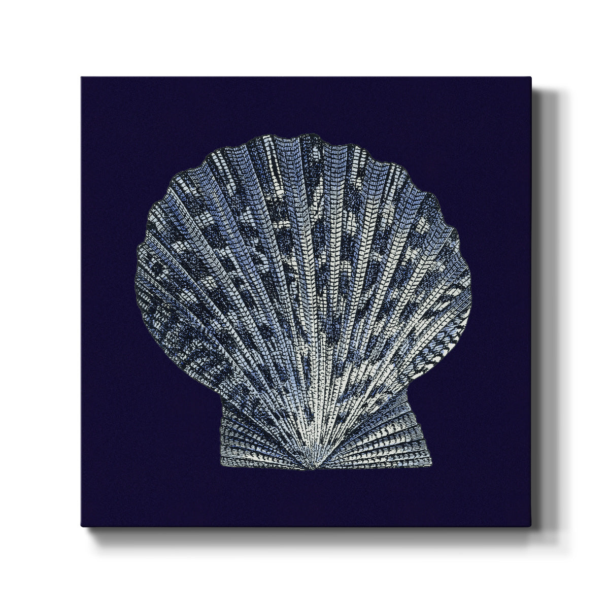 Indigo Shells VIII - Canvas Art Print