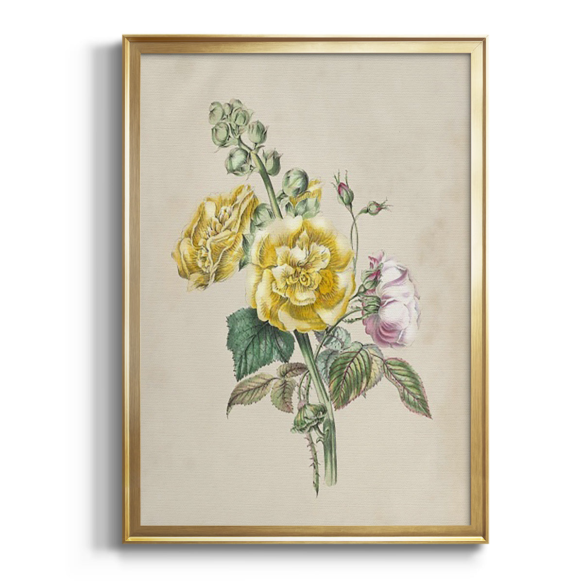 Sepia Botanical Journal I - Modern Framed Canvas Print