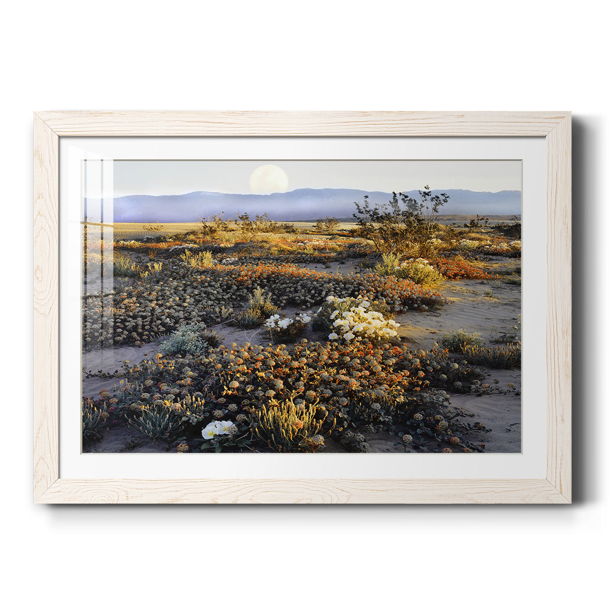 Celebrate-Premium Framed Print - Ready to Hang