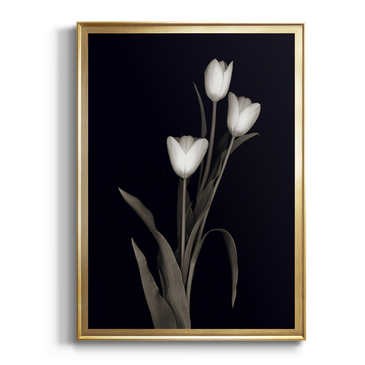 Sepia Botanical Journal I - Modern Framed Canvas Print