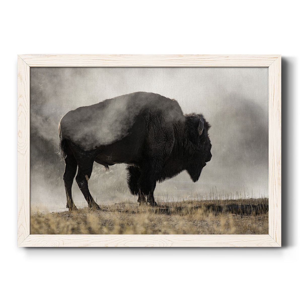 Geyser Basin-Premium Framed Canvas - Ready to Hang