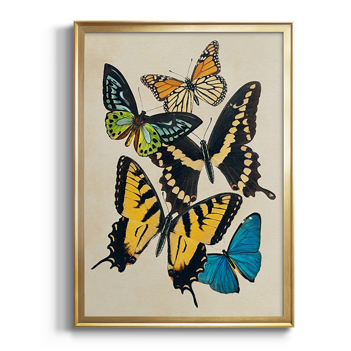 Collaged Butterflies II Premium Framed Print - Ready to Hang