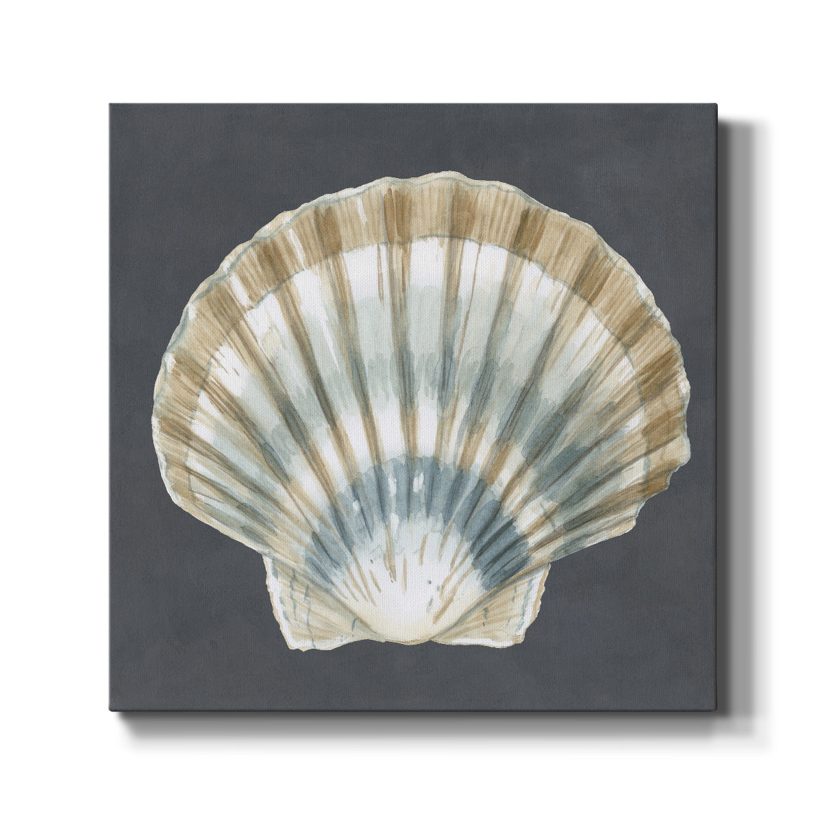 Shell on Slate III - Canvas Art Print