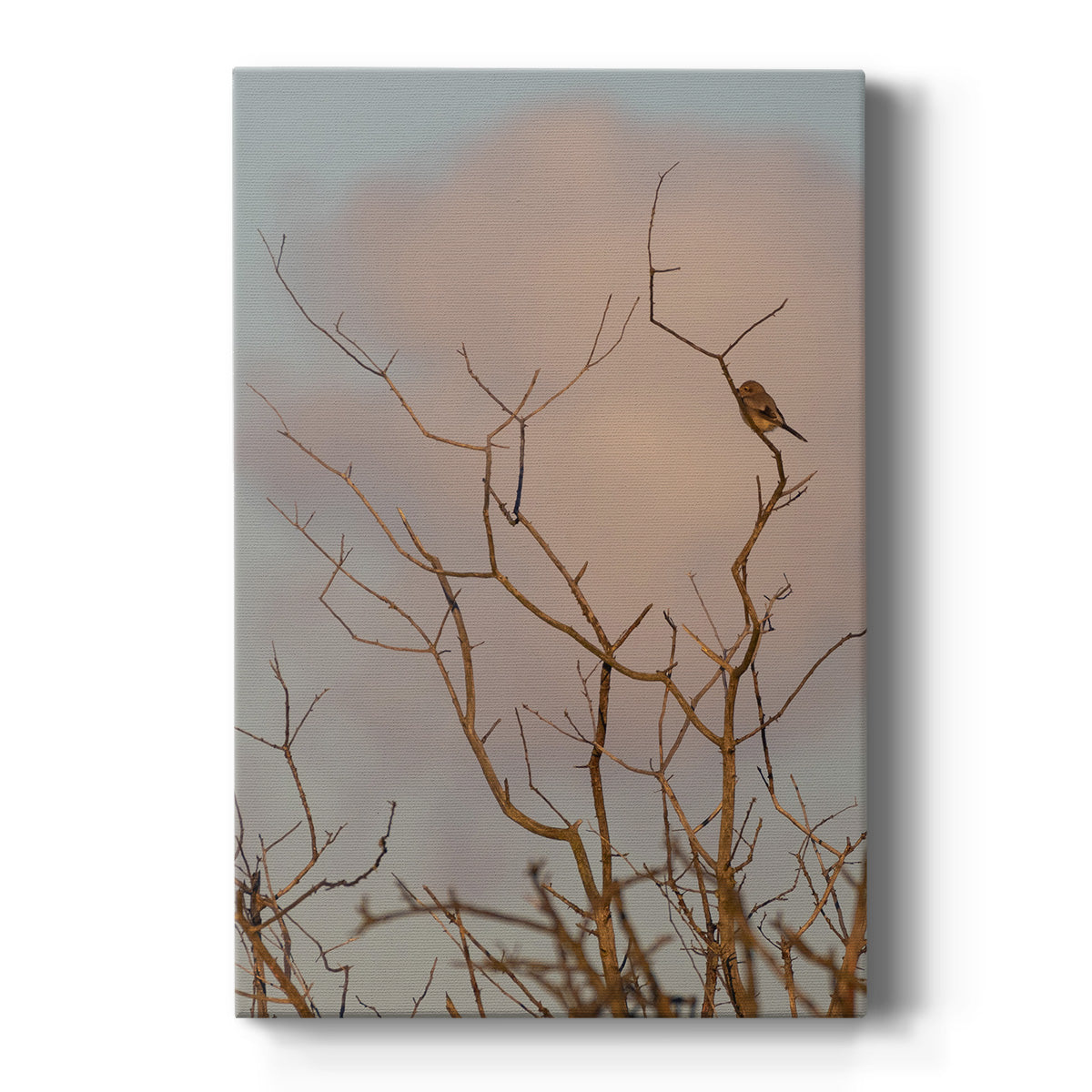 At Dawn - Canvas Art Print