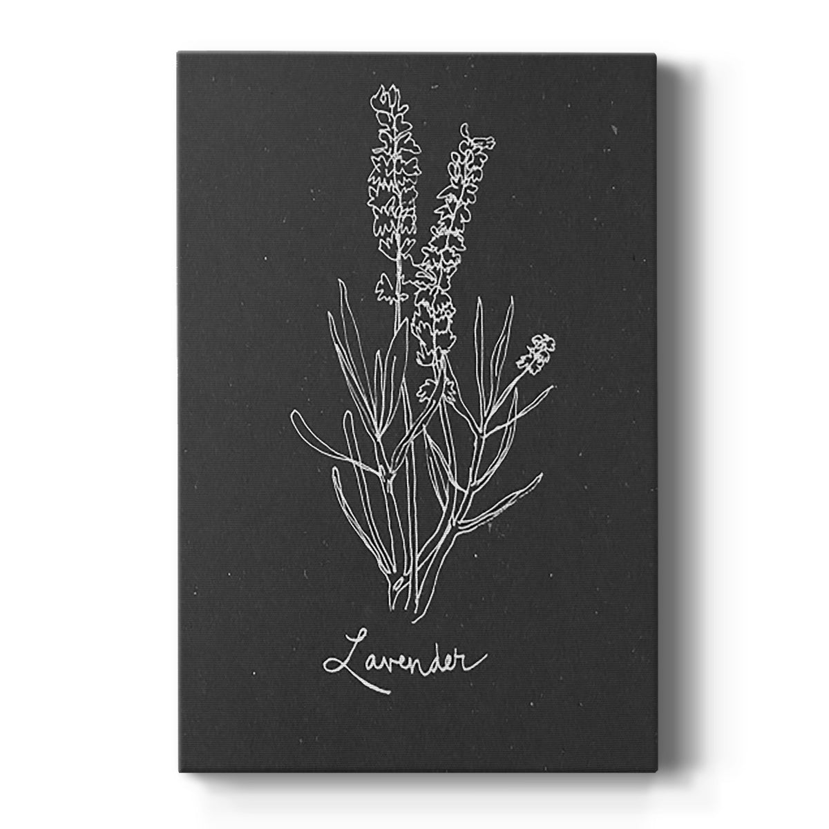 Scent Garden II - Canvas Art Print