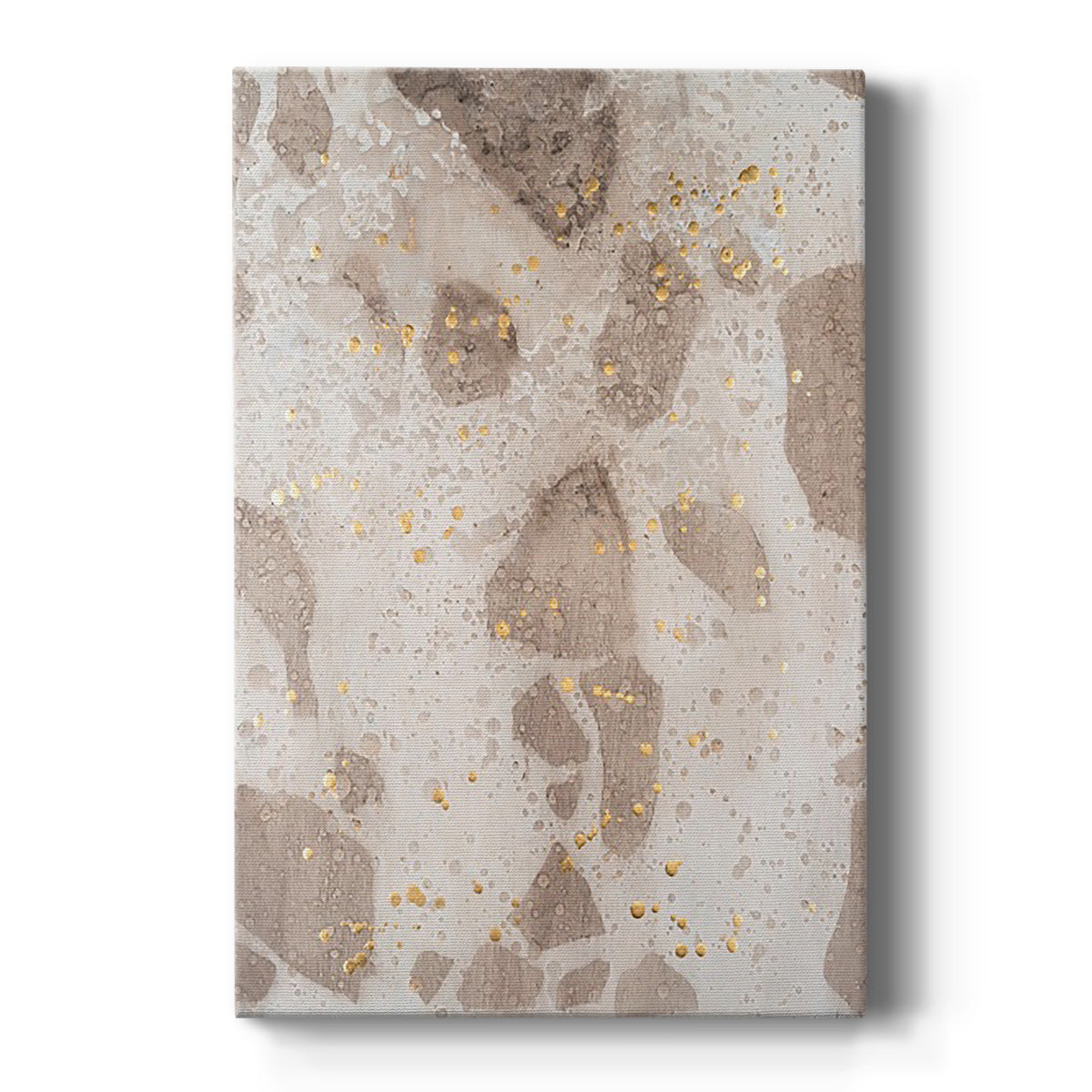 Chordata I - Canvas Art Print