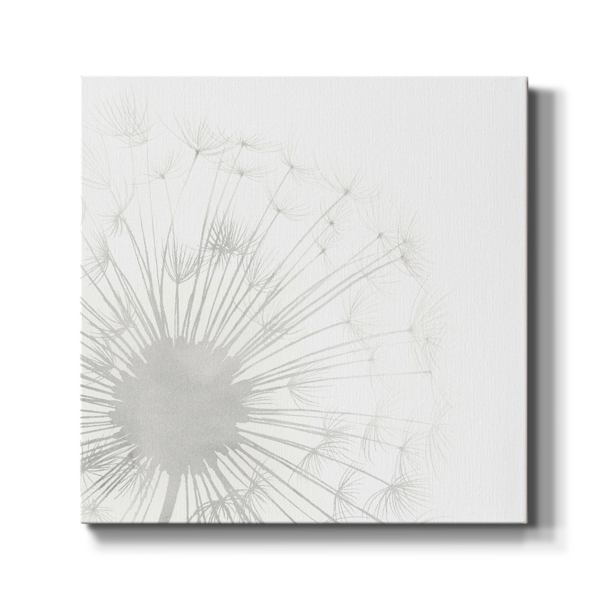 Dandelion Whisper I - Canvas Art Print