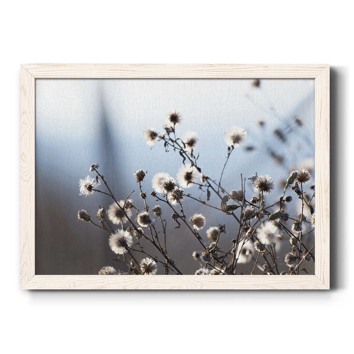Spring Fluff-Premium Framed Canvas - Ready to Hang
