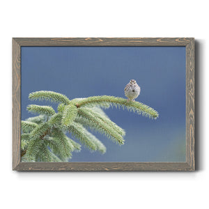 Evergreen Perch-Premium Framed Canvas - Ready to Hang