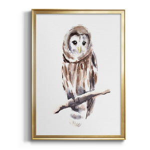 Barred Owl Impressions I Premium Framed Print - Ready to Hang