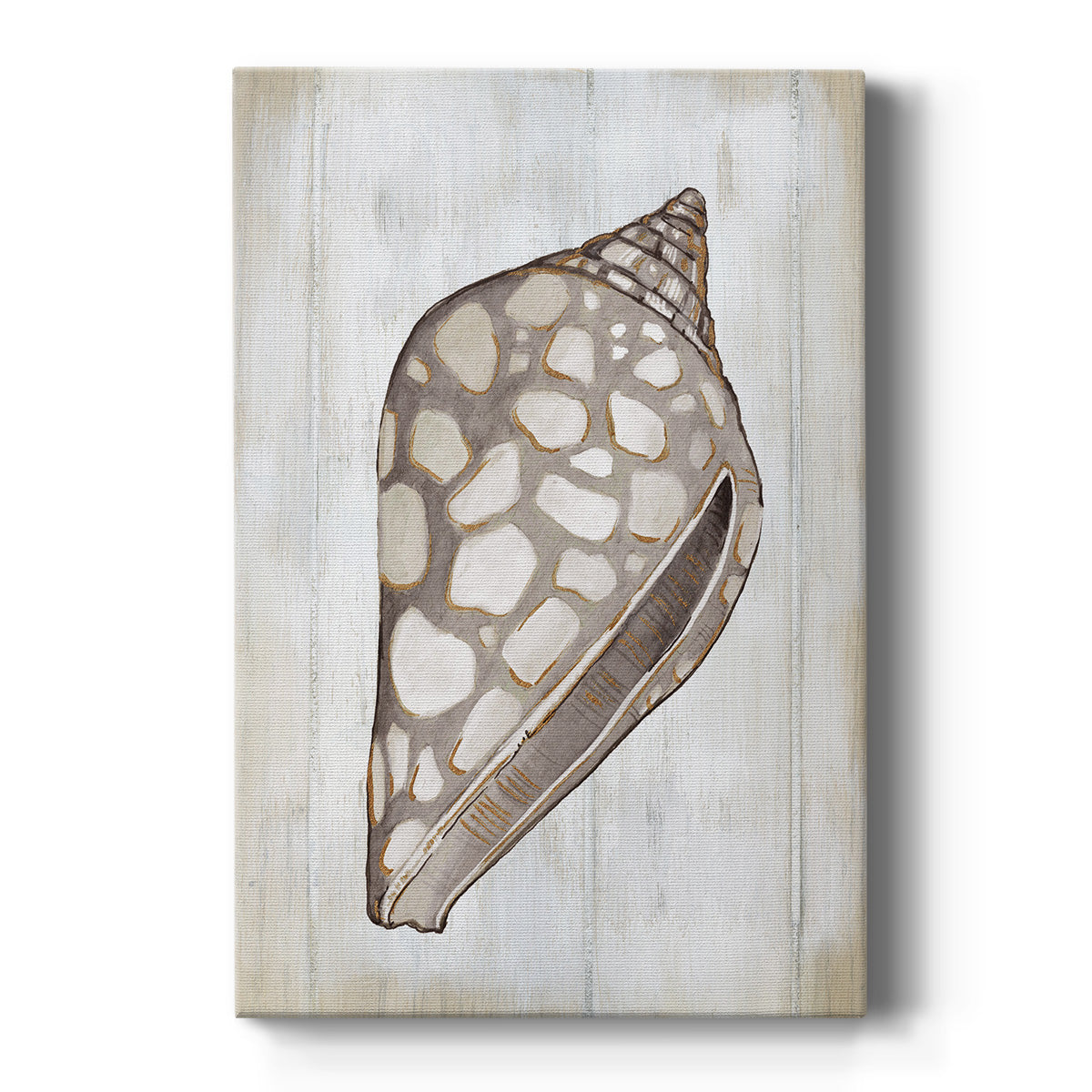 Ocean Cone I Premium Gallery Wrapped Canvas - Ready to Hang