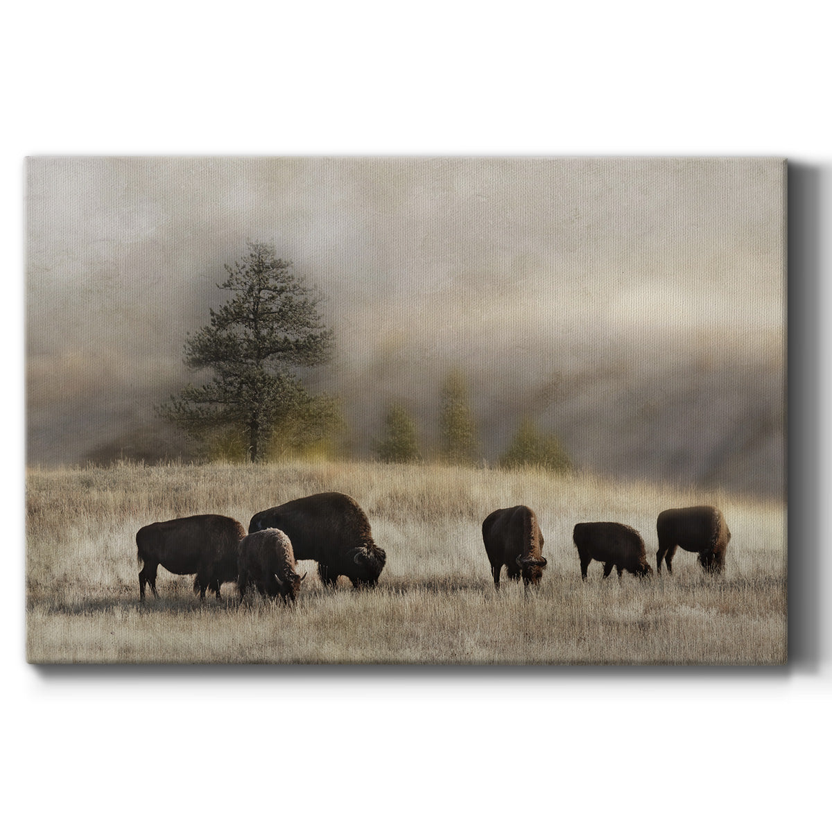 Ridge Grazing Premium Gallery Wrapped Canvas - Ready to Hang
