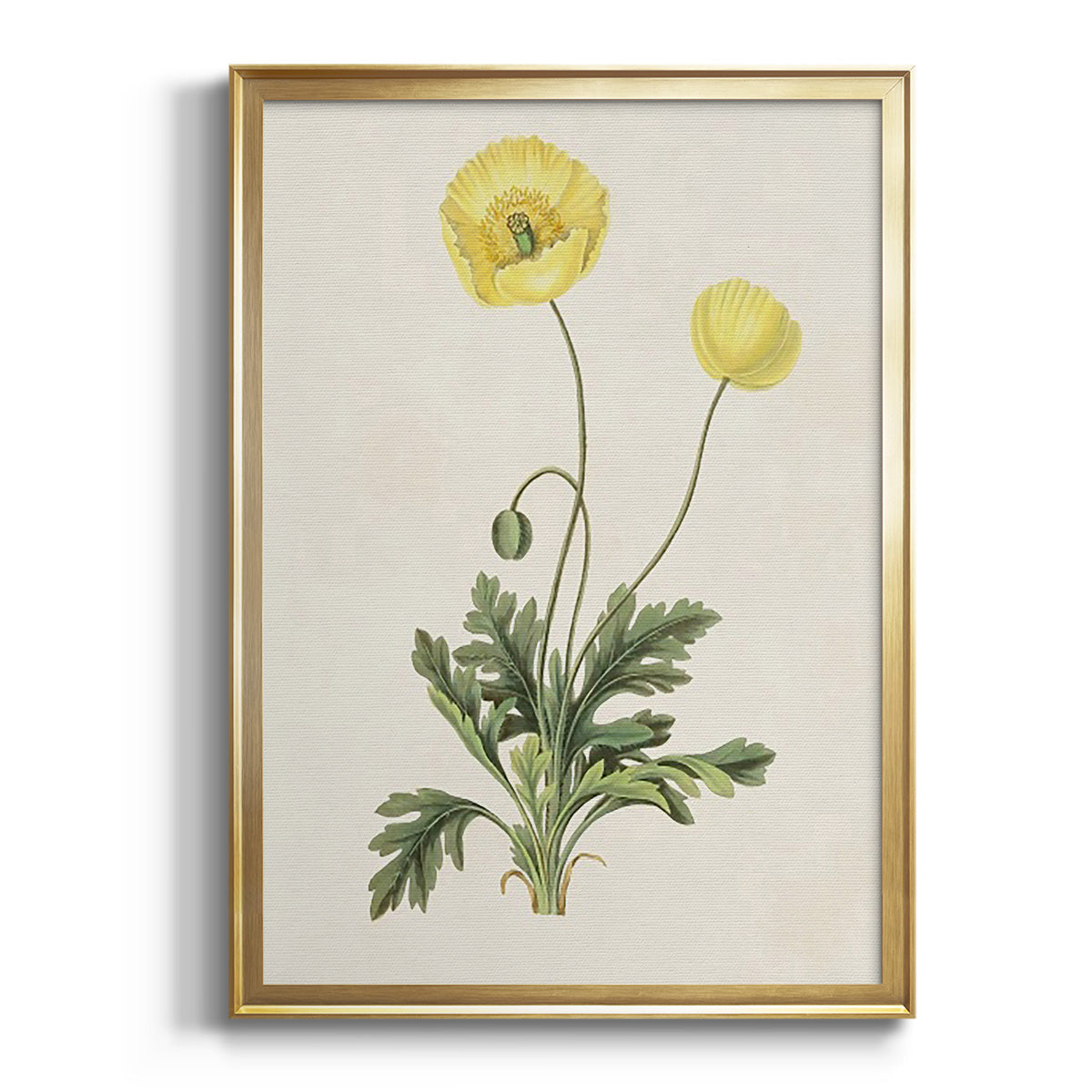 Sepia Botanical Journal I - Modern Framed Canvas Print