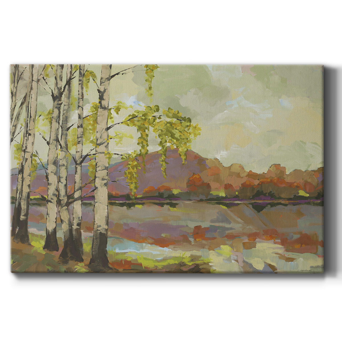Birch Stand - Canvas Art Print