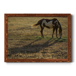 Long Shadow-Premium Framed Canvas - Ready to Hang