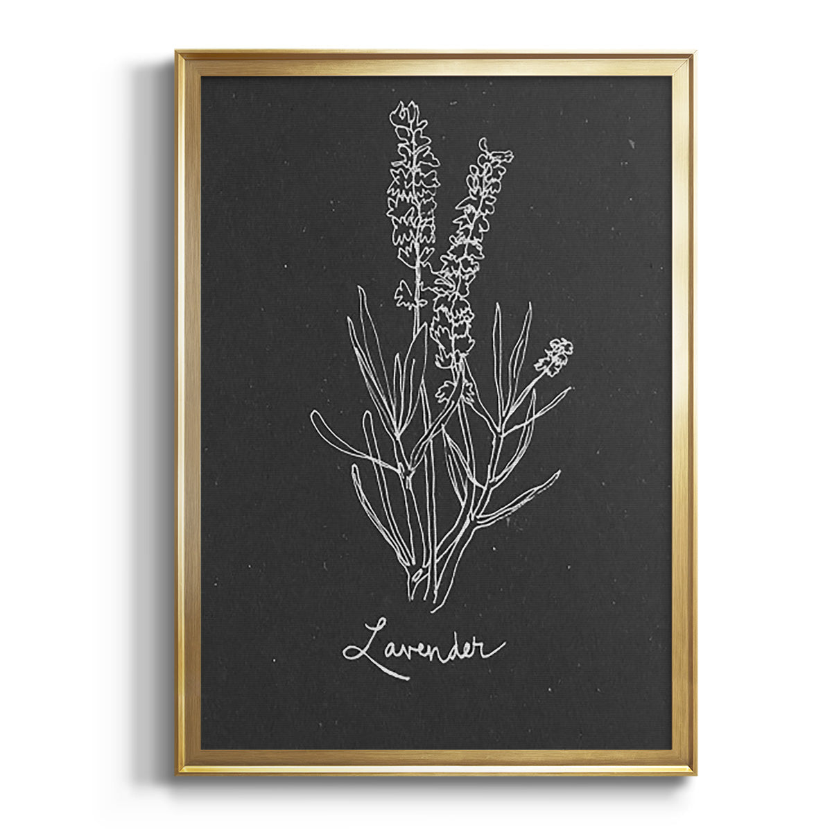 Sepia Botanical Journal I - Modern Framed Canvas Print