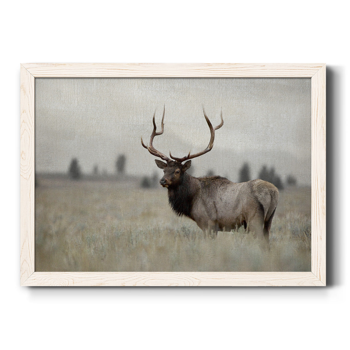Grand Elk-Premium Framed Canvas - Ready to Hang