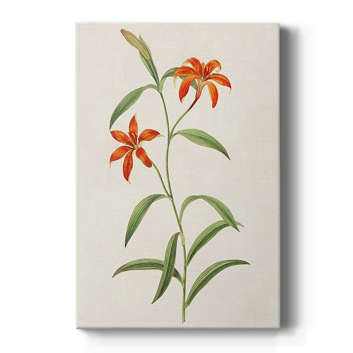 Flowers of the Seasons III Premium Gallery Wrapped Canvas - Ready to Hang