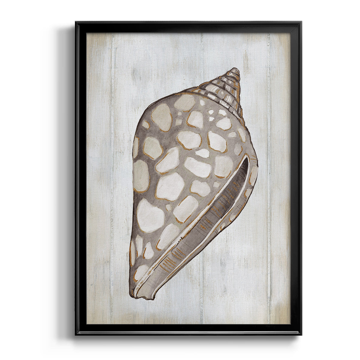 Ocean Cone I Premium Framed Print - Ready to Hang