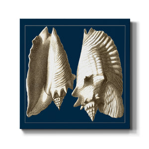 Conch Shells on Navy I-Premium Gallery Wrapped Canvas - Ready to Hang
