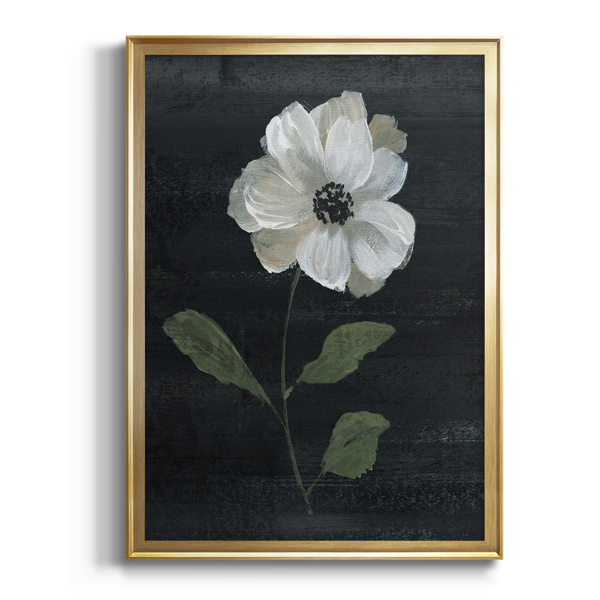 Soft Half Shell I - Modern Framed Canvas Print