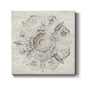 Weathered Emblem II-Premium Gallery Wrapped Canvas - Ready to Hang