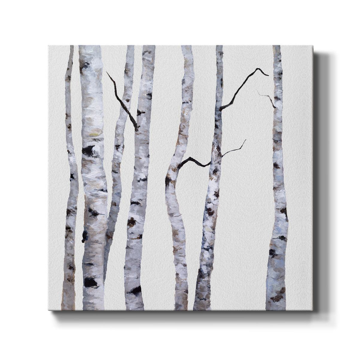 Birch Trees I-Premium Gallery Wrapped Canvas - Ready to Hang