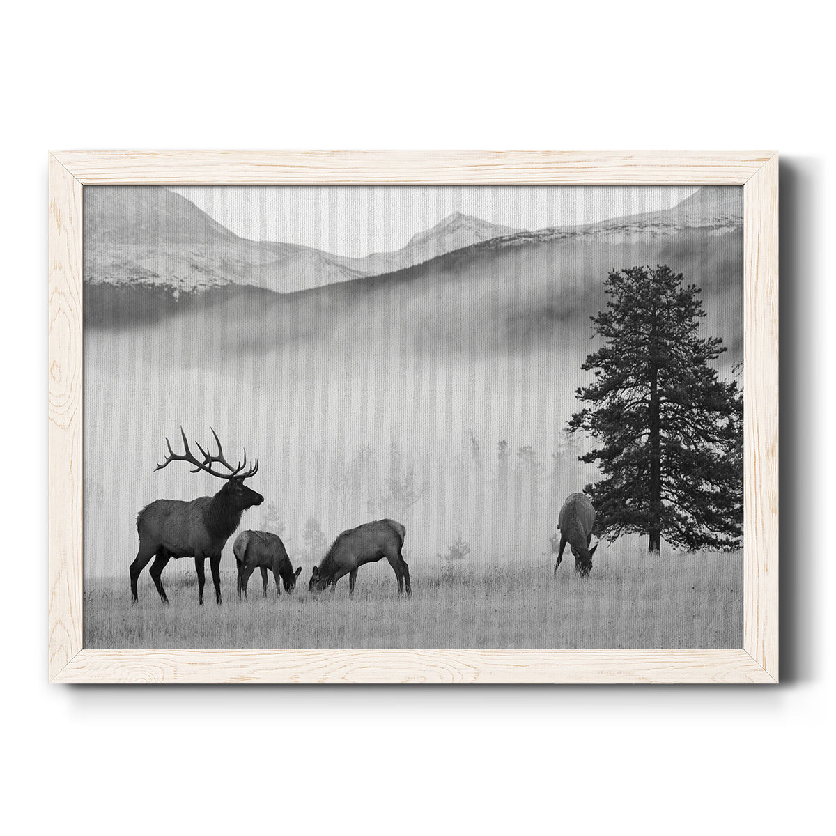 Mountain Elk-Premium Framed Canvas - Ready to Hang