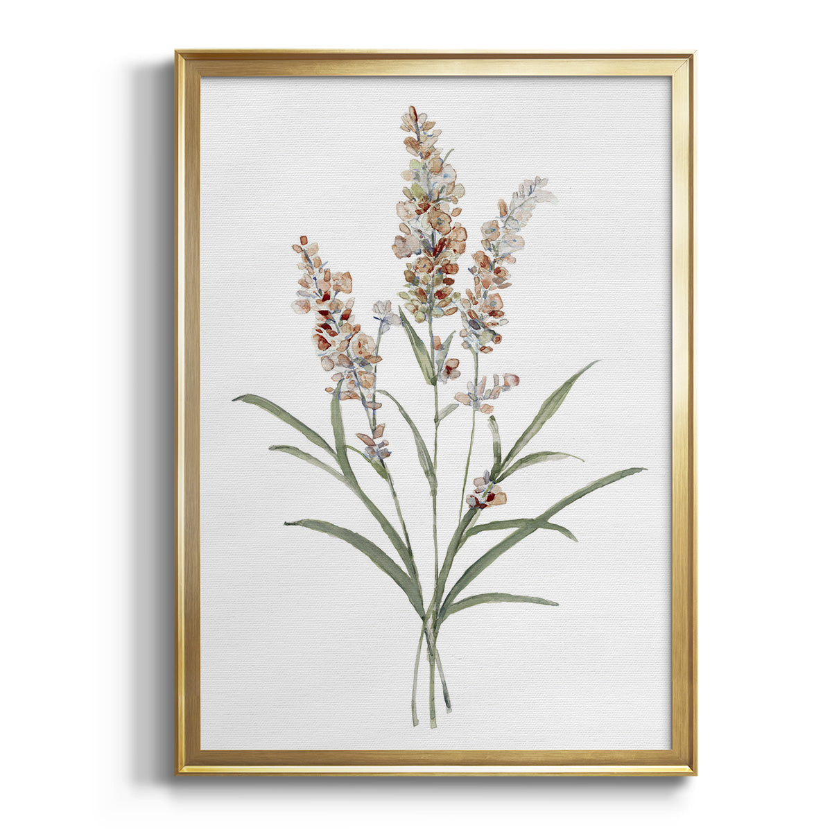 Sepia Botanical Journal I - Modern Framed Canvas Print