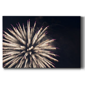 Sky Bloom Premium Gallery Wrapped Canvas - Ready to Hang